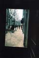 020windowshot